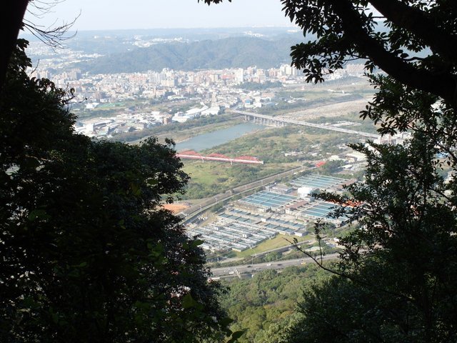 鳶山 (170).JPG