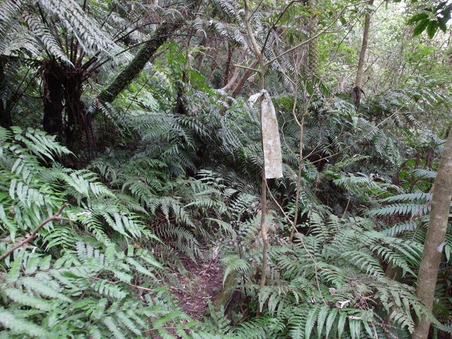 白石湖山 (29).JPG