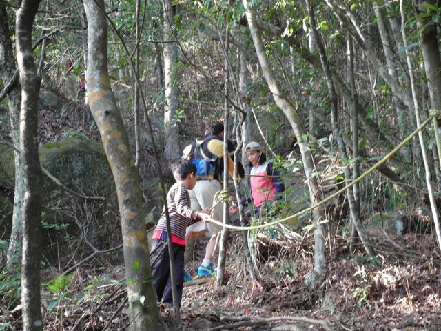 內湖三尖：忠勇山、圓覺尖、鯉魚山 (133).JPG