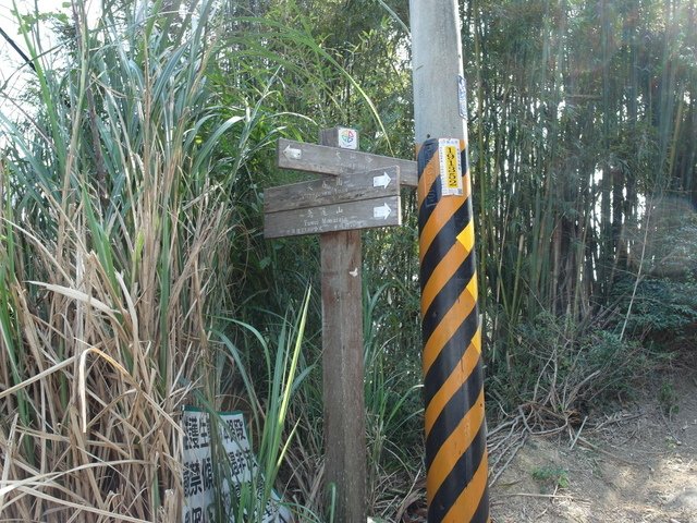 鳶尾山步道 (35).JPG