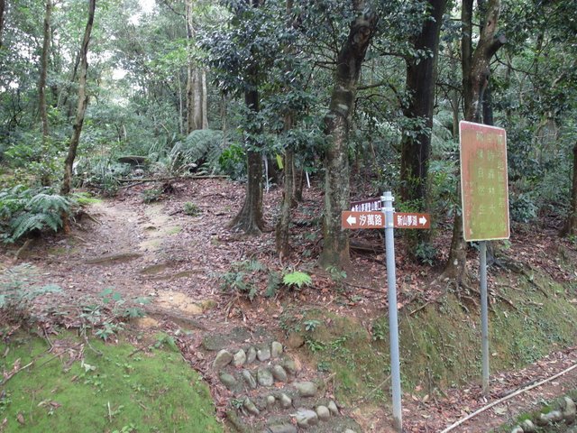 新山、夢湖 (13).JPG