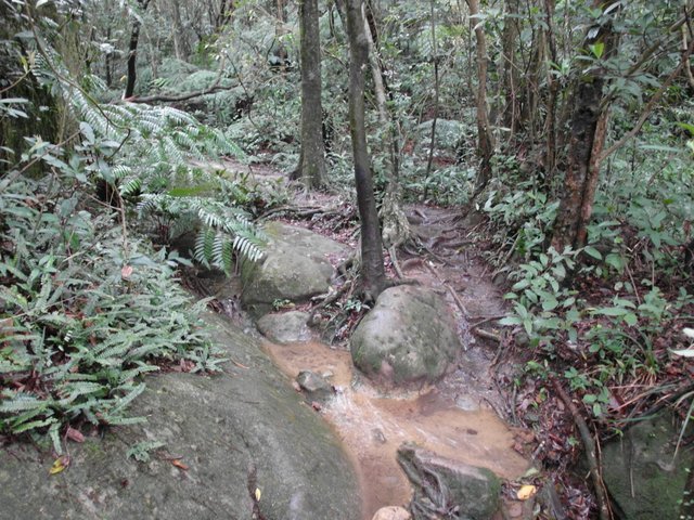 新山、夢湖 (72).JPG