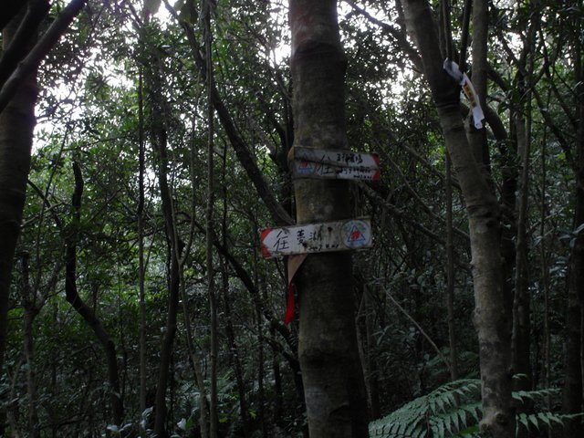 新山、夢湖 (108).JPG