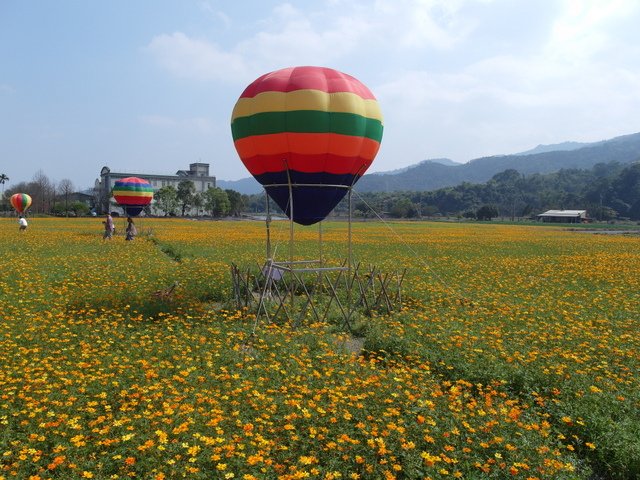 洛克搖搖馬 (13).JPG