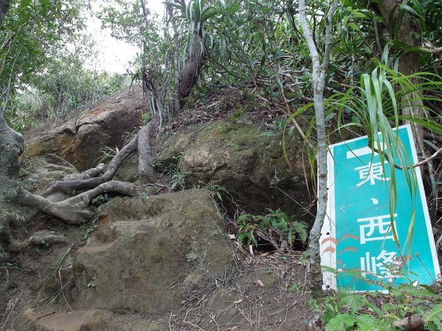 皇帝殿 (47).JPG