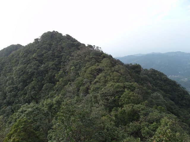 皇帝殿 (118).JPG
