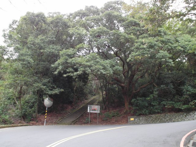 新北投山 (5).JPG