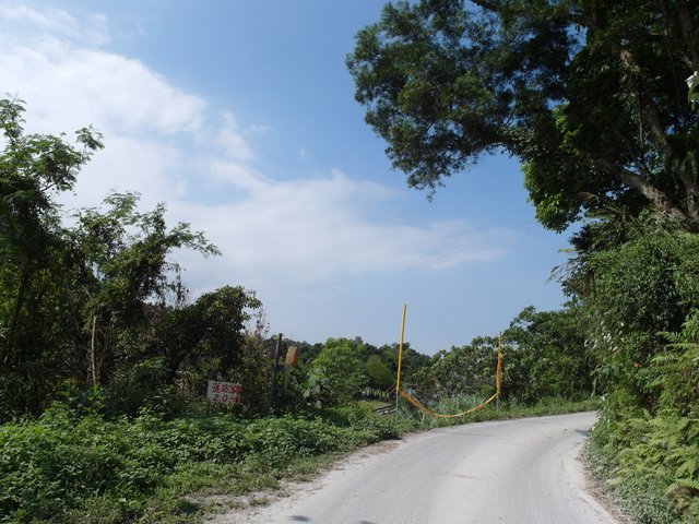 武荖坑林道 (41).JPG