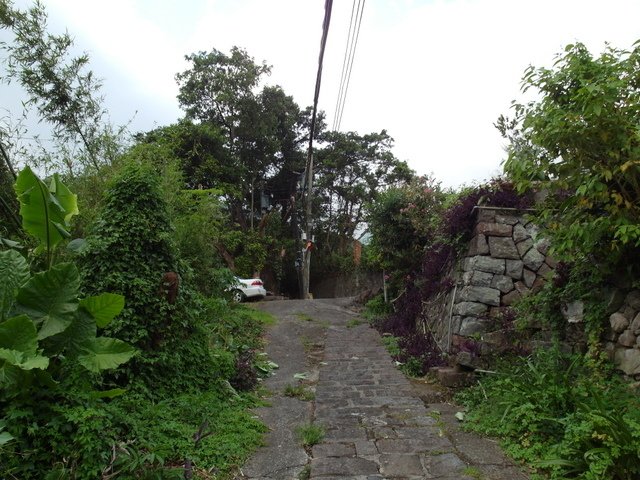 法雨寺步道 (17).JPG