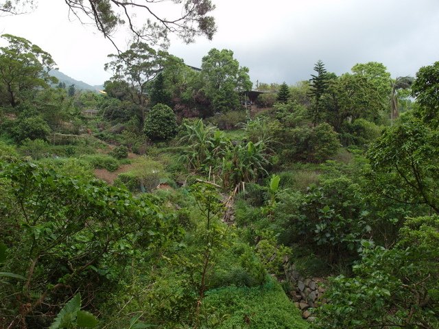 法雨寺步道 (27).JPG
