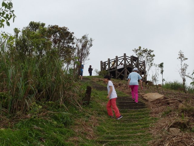 姜子寮山 (53).JPG