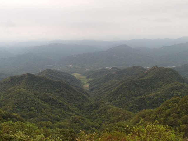 姜子寮山 (57).JPG