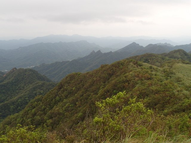 姜子寮山 (58).JPG