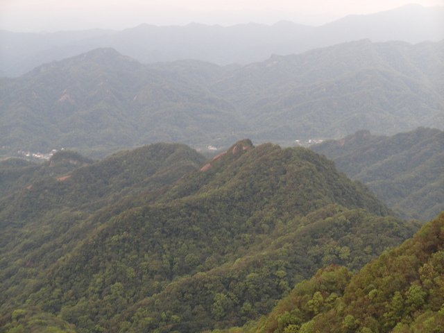 姜子寮山 (62).JPG