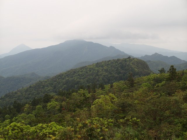 姜子寮山 (70).JPG