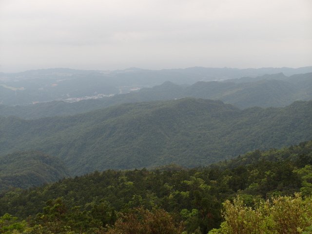 姜子寮山 (71).JPG