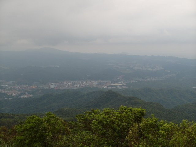 姜子寮山 (73).JPG