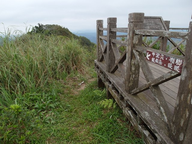 姜子寮山 (76).JPG