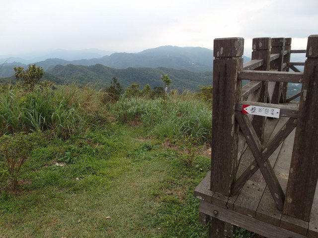 姜子寮山 (77).JPG