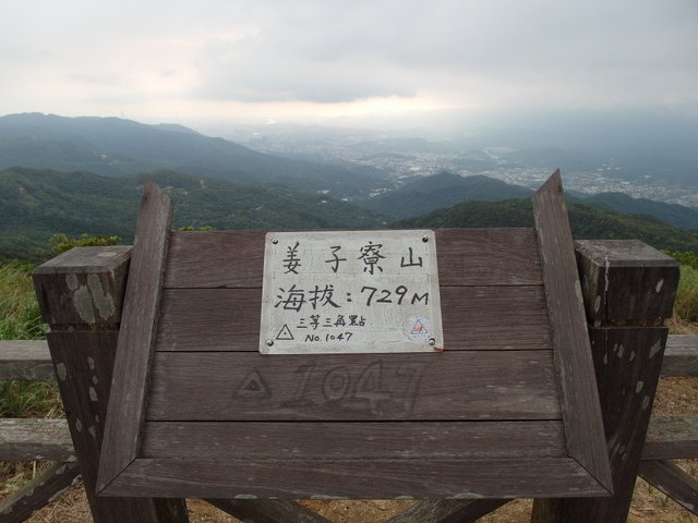 姜子寮山 (78).JPG