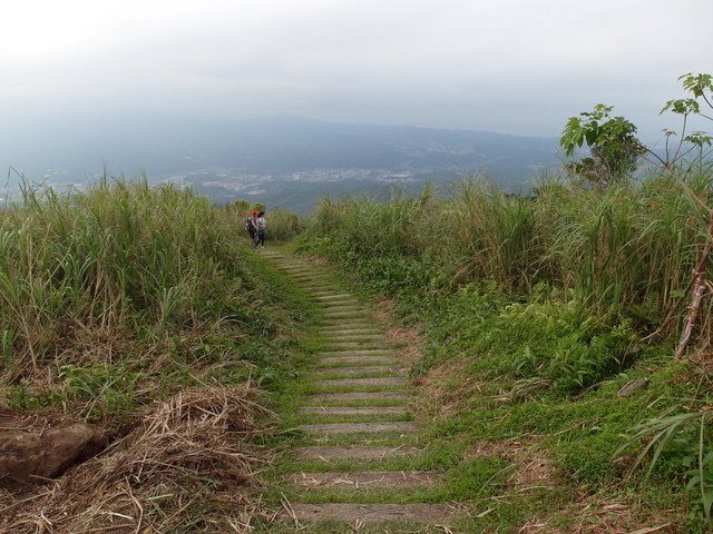 姜子寮山 (86).JPG