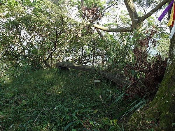 紫微聖母環山步道 (166).JPG