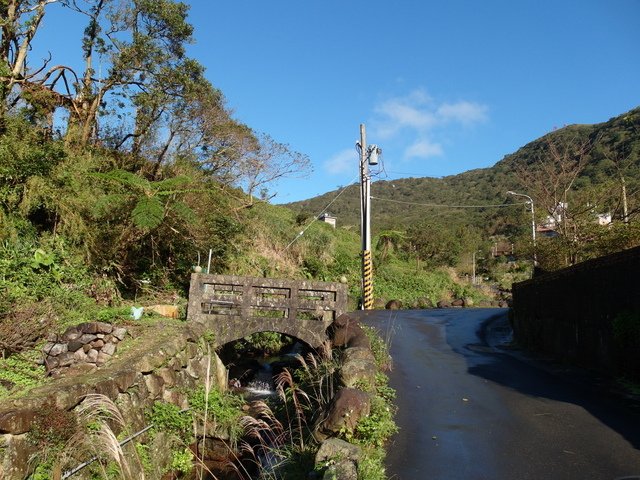 竹子湖步道  (362).JPG