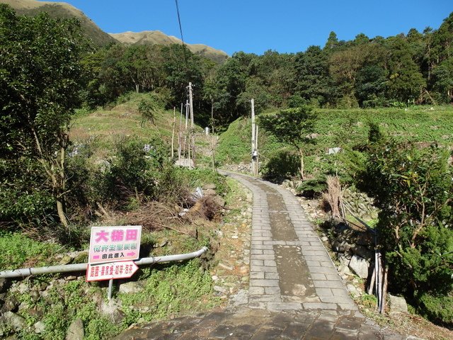 竹子湖步道  (416).JPG
