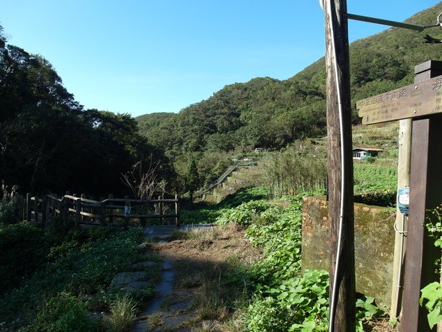 竹子湖步道  (418).JPG