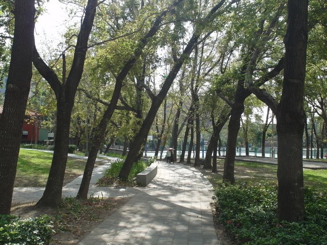 復興公園 (32).JPG