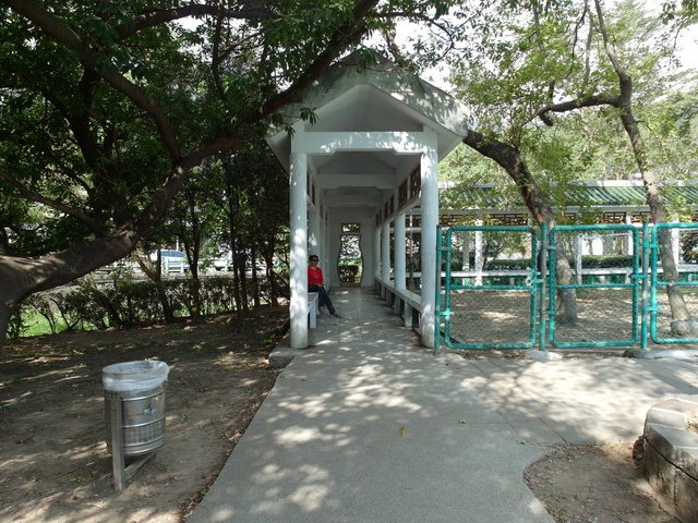 復興公園 (41).JPG