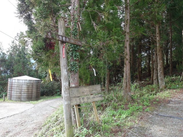 鳥嘴山、大窩山 (18).JPG