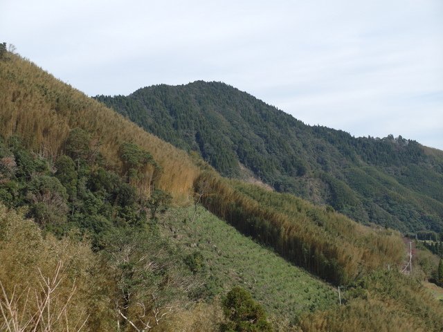 鳥嘴山、大窩山 (27).JPG