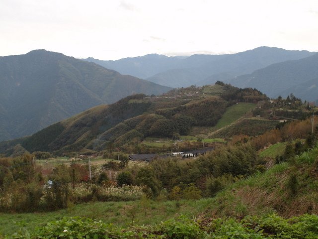 鳥嘴山、大窩山 (191).JPG