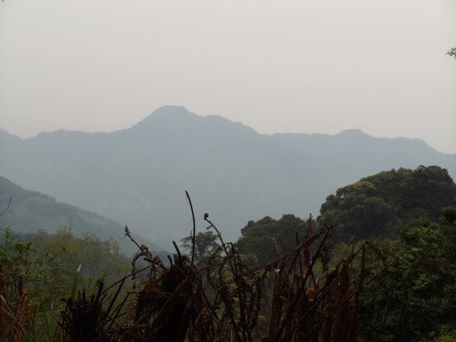加里山 (208).JPG