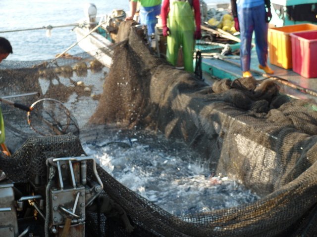 粉鳥林漁港  (74).JPG