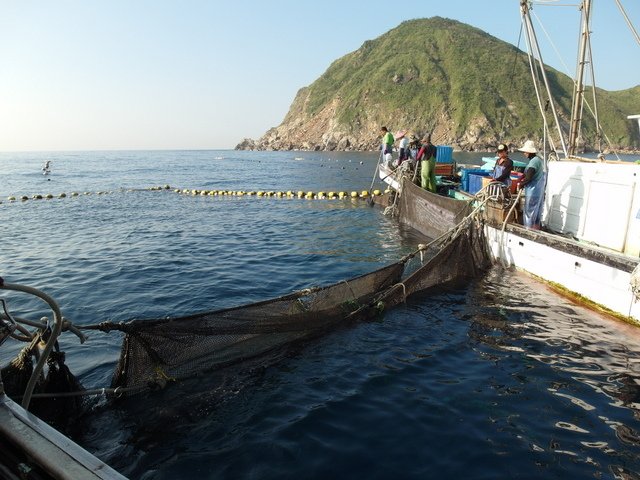 粉鳥林漁港  (97).JPG