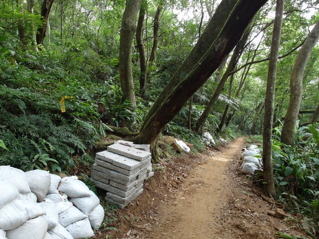 九五峰、四分里山 (21).JPG