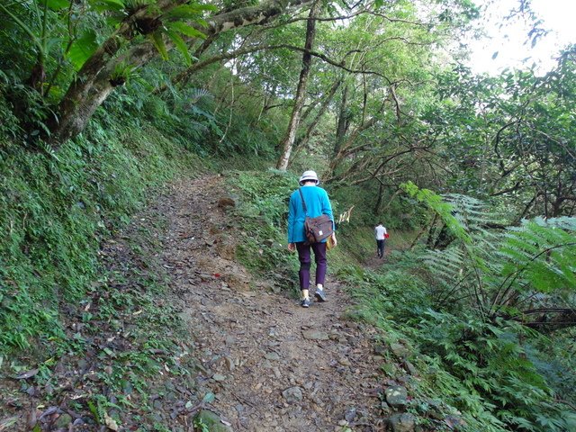 灣潭古道  (161).JPG