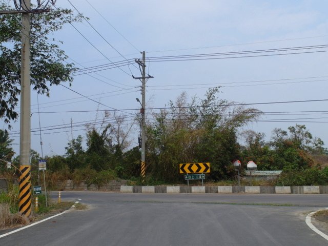 蘭科植物園  (62).JPG