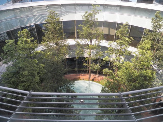 高雄圖書館總館 (23).jpg