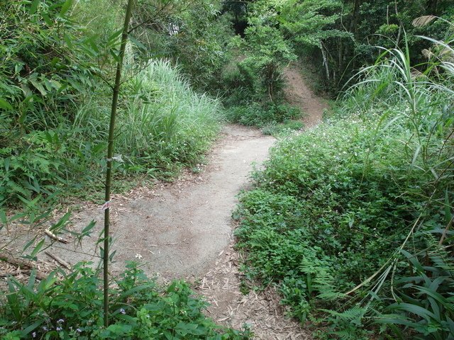 關刀山 (190).jpg