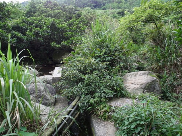 鹿崛坪古道 (30).JPG