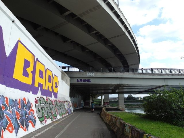 基隆河自行車道 (16).JPG