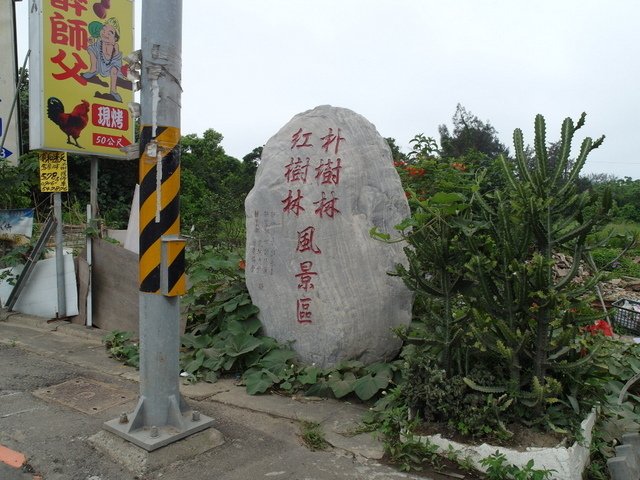 竹北．新豐濱海自行車道 (330).JPG