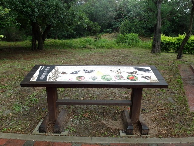 新竹十七公里海岸 (595).JPG