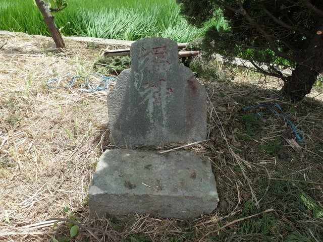 霄裡陽光鐵馬道 (470).JPG