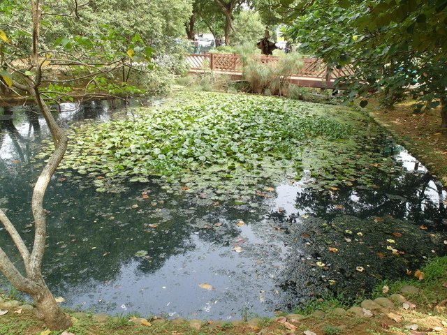 八德埤塘生態公園 (58).JPG