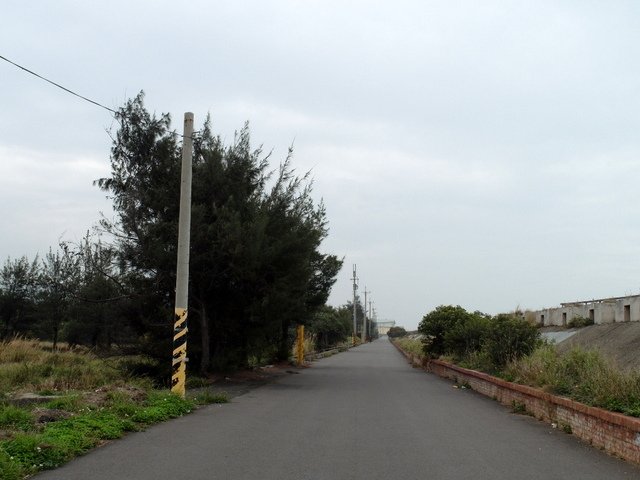 通霄綠光海風自行車道 (32).JPG