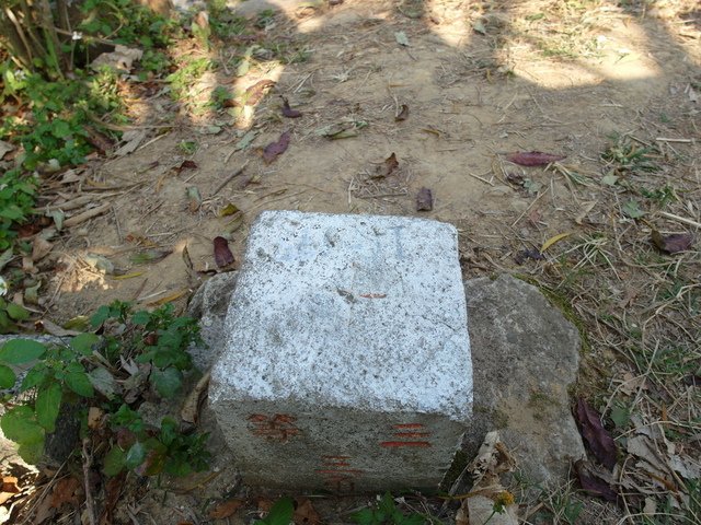 三汀山 (43).JPG